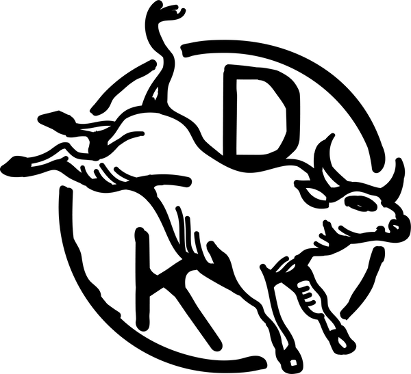 Daily Kick logo