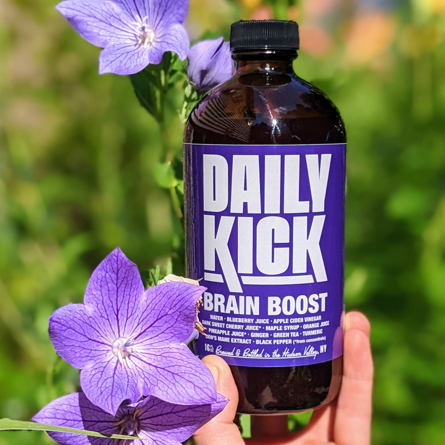 Daily Kick Brain Boost: 12 Pack